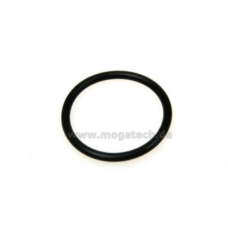O-ring (21x2)