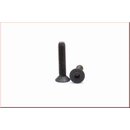 Innensechskantschraube M5x25